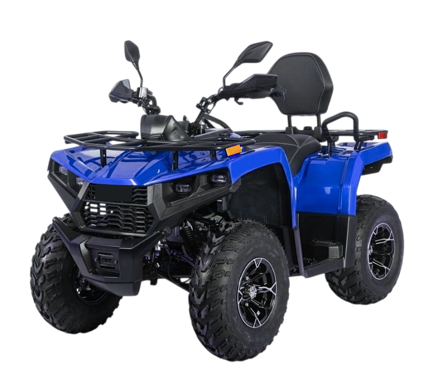 Квадрицикл Bizon YK250 LUX EFI