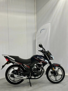 Мотоцикл дорожный SPRMOTORS FORTE FH250-Y9 чёрный